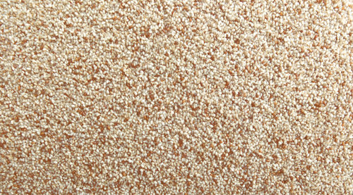 Ivory teff grain 2.jpg