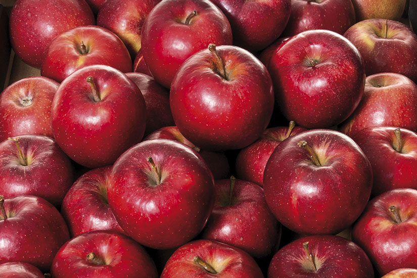 produkt05.jpg