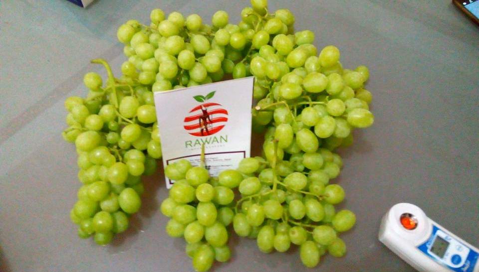IMG-20190428-WA0033.jpg