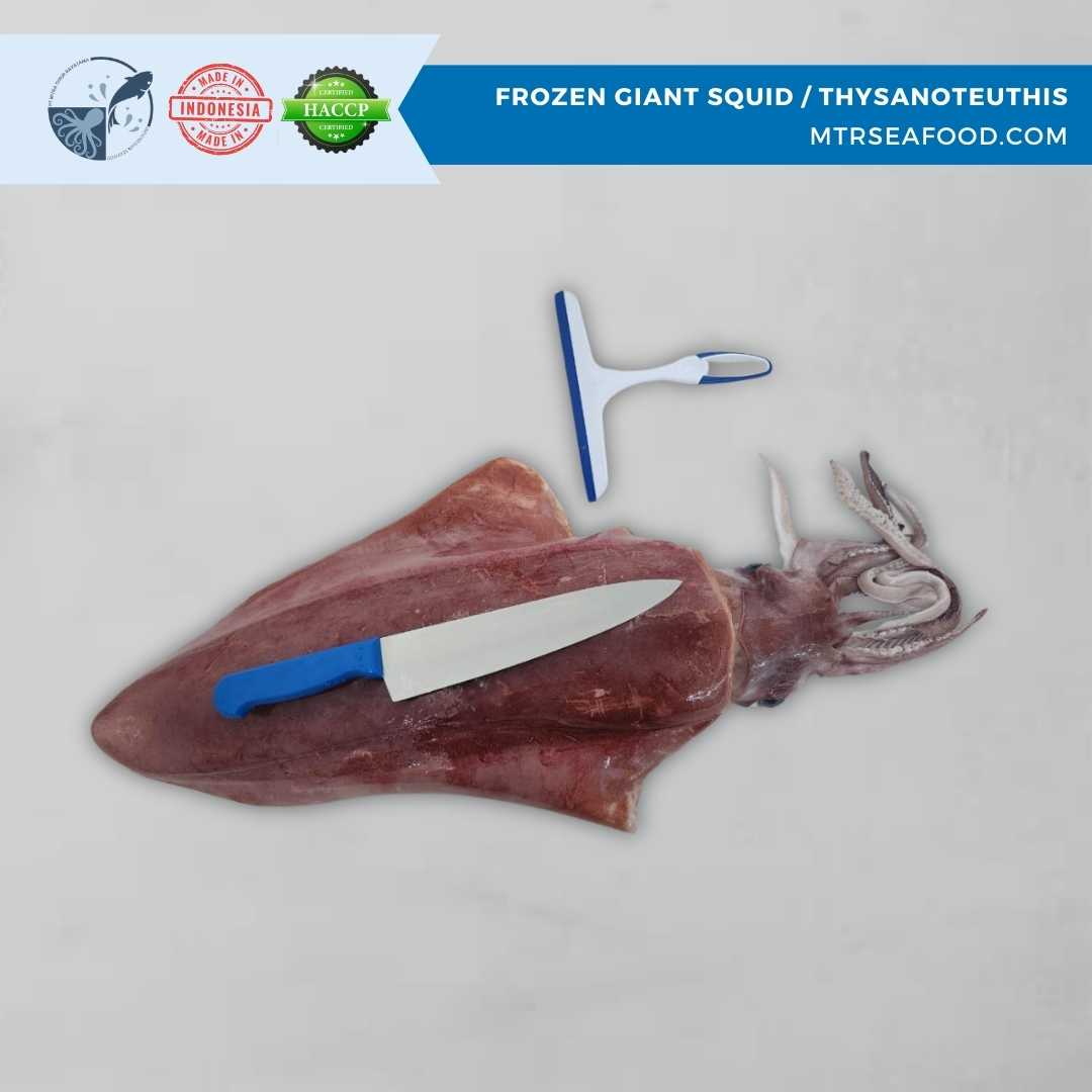 FROZEN GIANT SQUID _ THYSANOTEUTHIS MTRSEAFOOD.COM (2).jpg