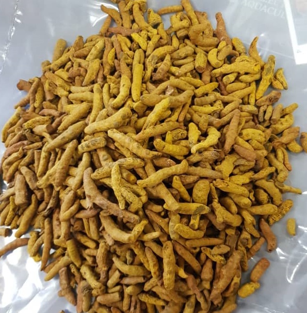 YSO - POLISHED TURMERIC FINGERS.jpg