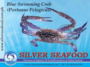 Blue-Swimming-Crab.jpg-nggid03187-ngg0dyn-300x220x100-00f0w010c010r110f110r010t010.jpg