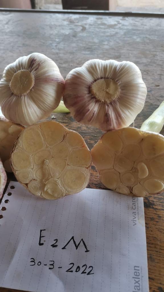 WhatsApp Image 2022-05-26 at 12.12.52 PM (9).jpeg