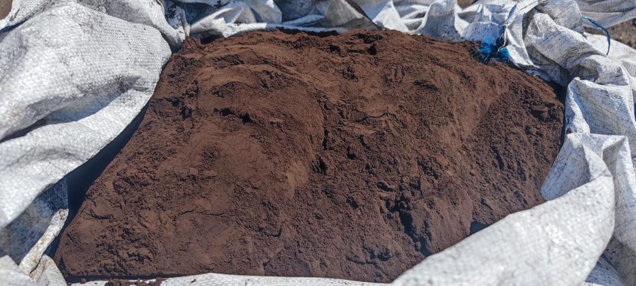 Изображение WhatsApp 2024-12-02 в 14.03.32_82f4a2b7.jpg