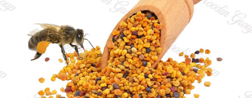 bee-pollen-dietary-supplement-propolis-png-favpng-STyBeCLLFXSBWJarJNwSWTqV1-copy-820x321.jpg
