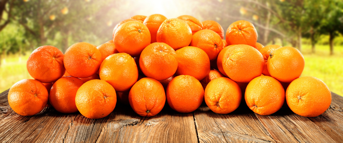 Orange-Fiber-Arance.jpeg