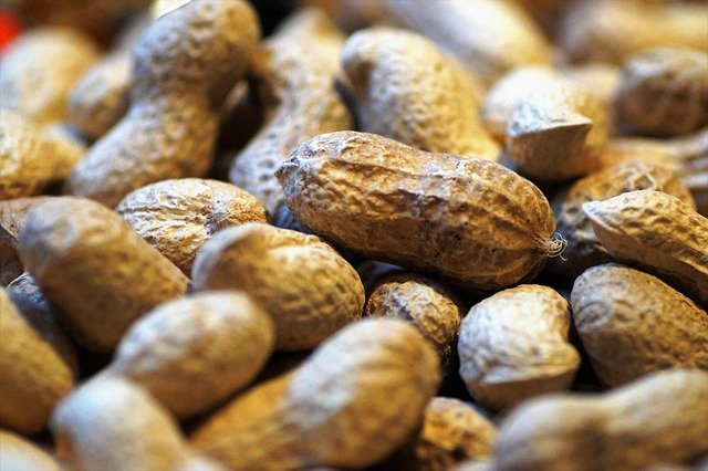 groundnuts-farming-uganda.jpg