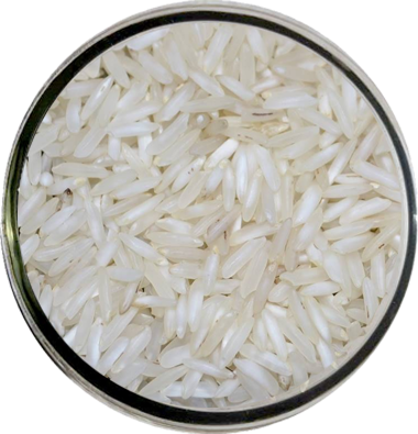 rice-1 (1).png