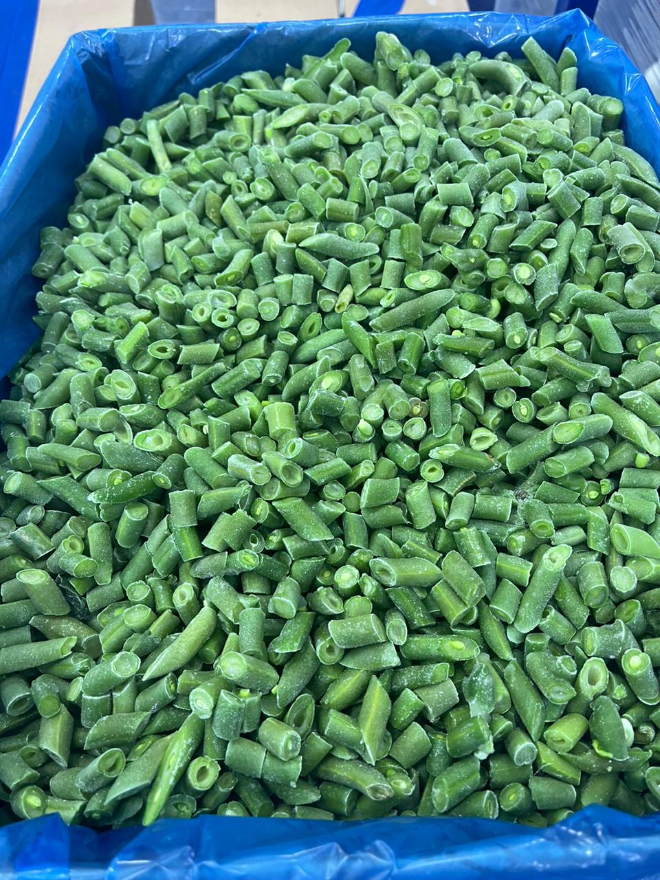 Green beans 1-2 inch (5).jpg