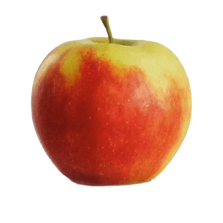 7.png