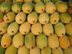 Fresh Kesar Mangoes & Pulp Exporter from India -A-1 Overseas (2).jpg