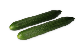 thul-772A6DD9-CF3B-4DCF-ADB2104DB7C55A38.png