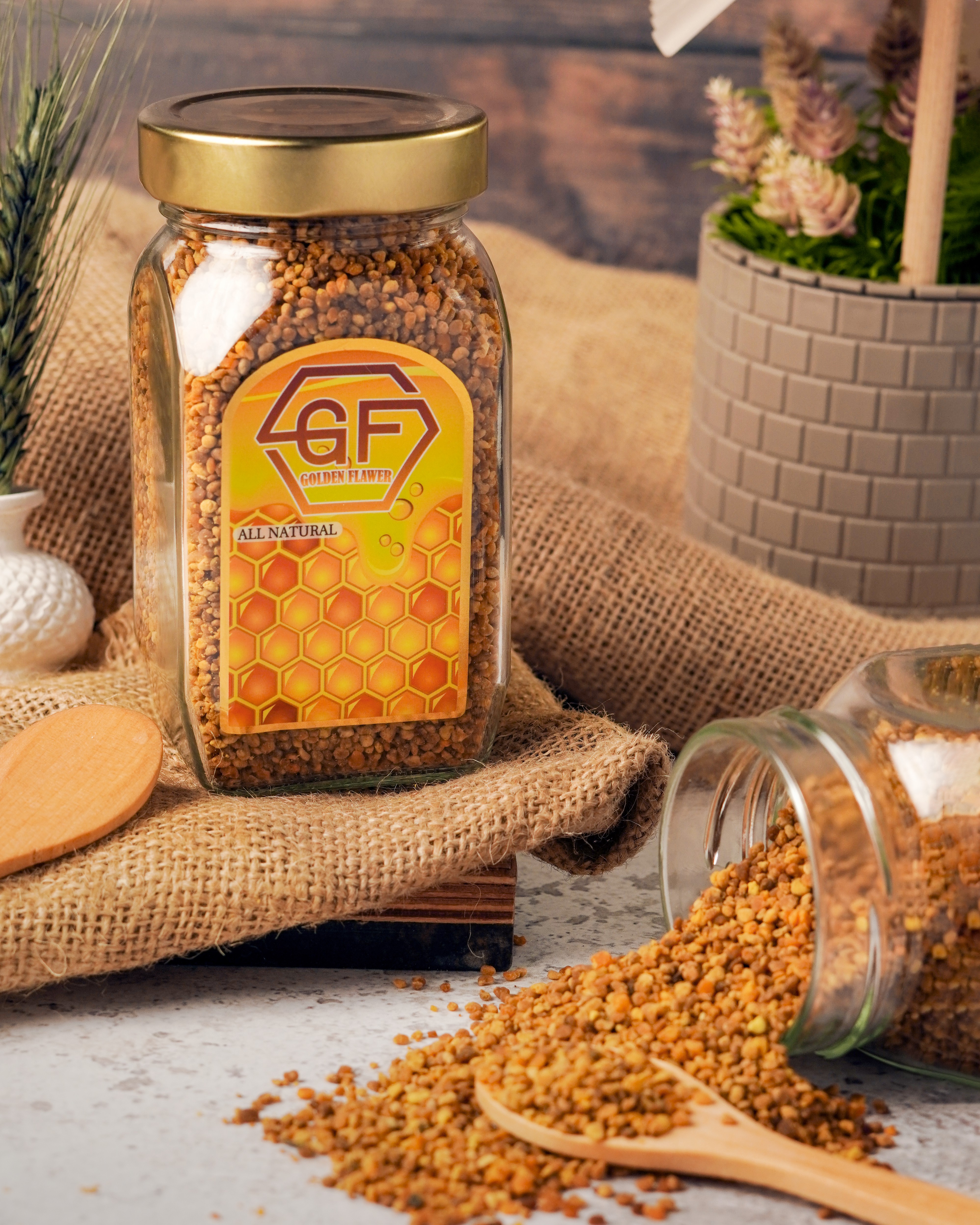 حبوب لقاح.jpg