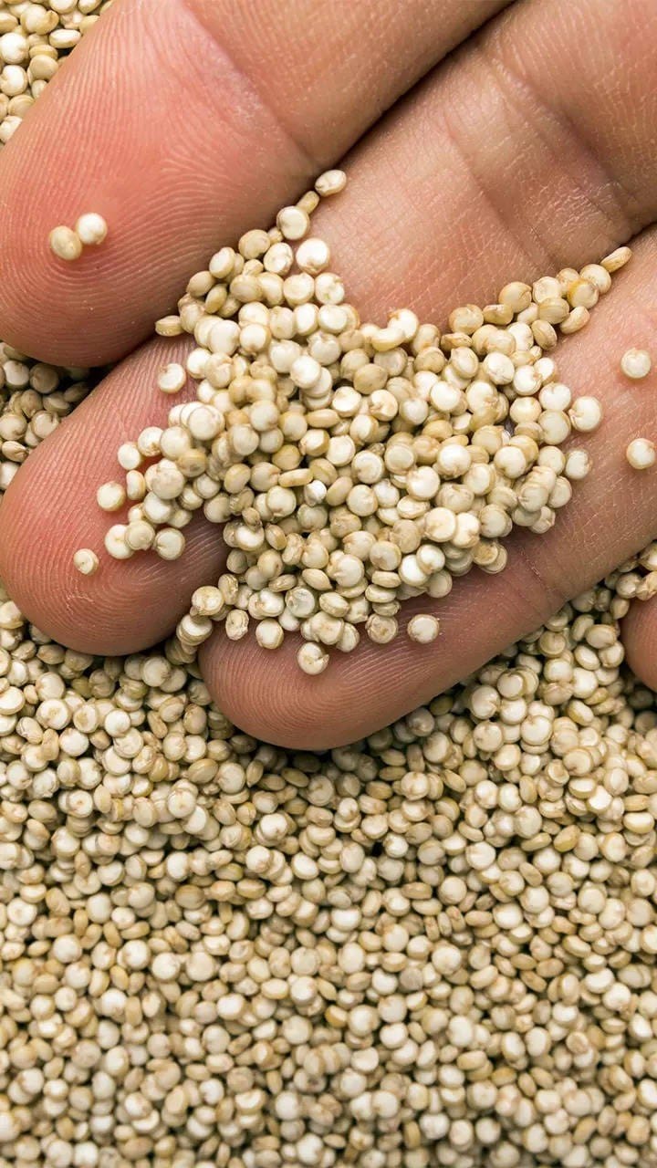 White Quioa Hand.jpg