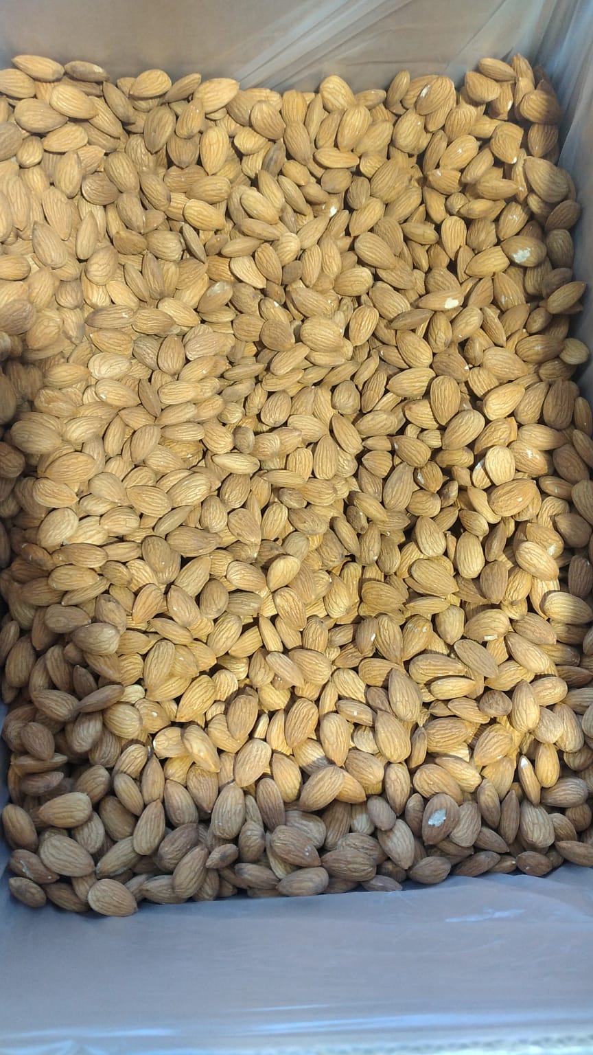 Almendra caja2.jpg