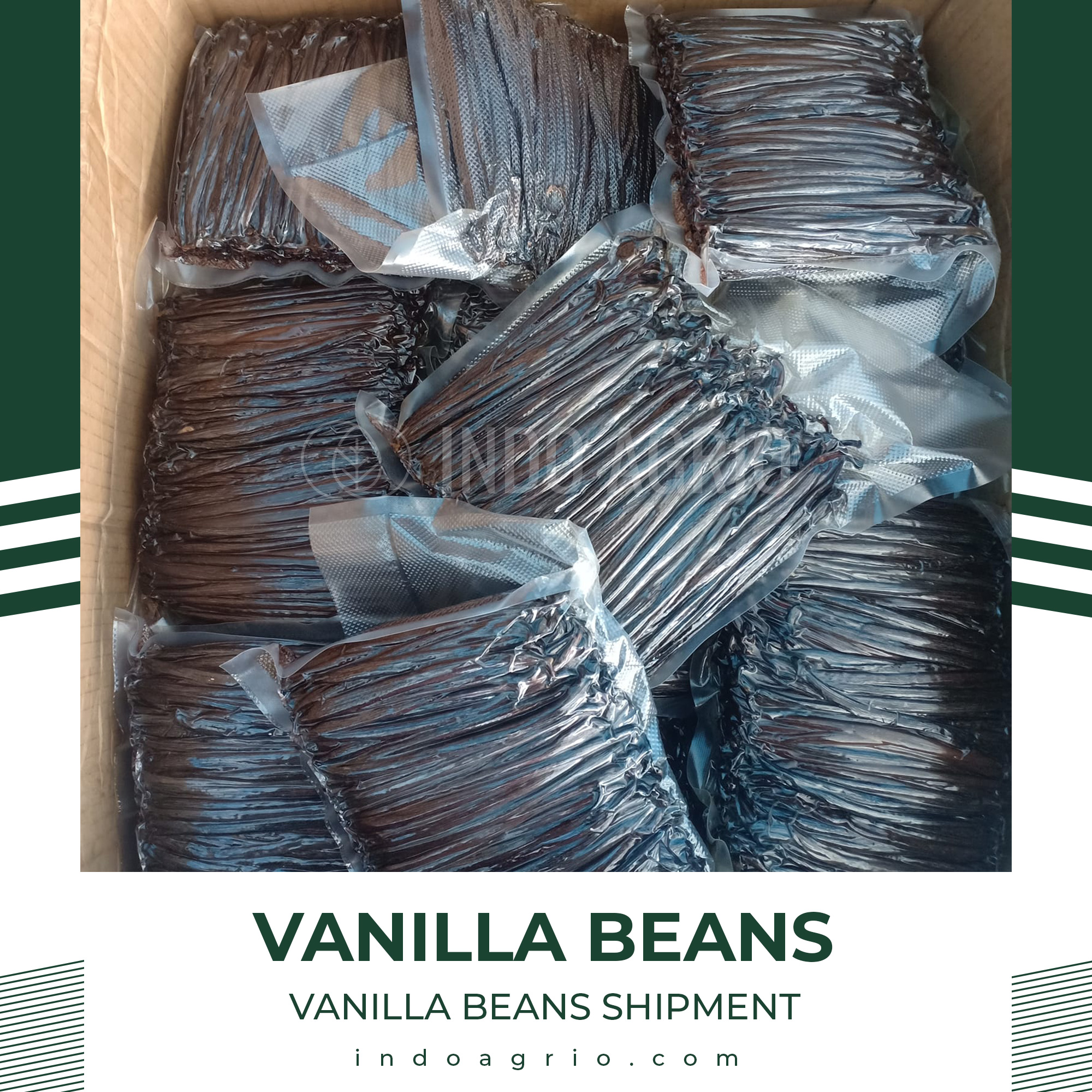LINKEDIN-POST-VANILLA-BEANS-SHIPMENT.jpg