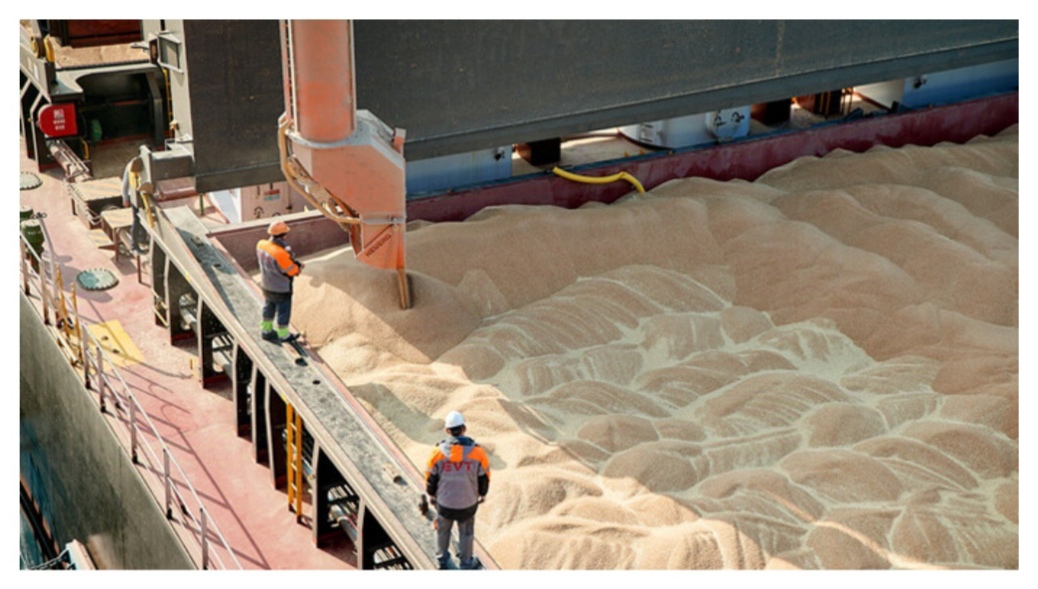milling wheat 1.jpg