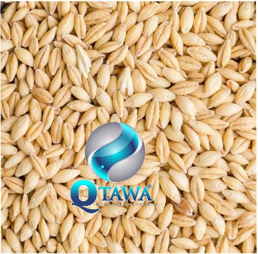 sprzedam_cereals -cereals-barley-_agromarket_międzynarodowa giełda rolna-482995-84111.jpg