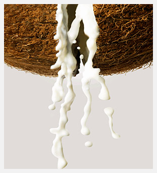 Coconut milk.jpeg