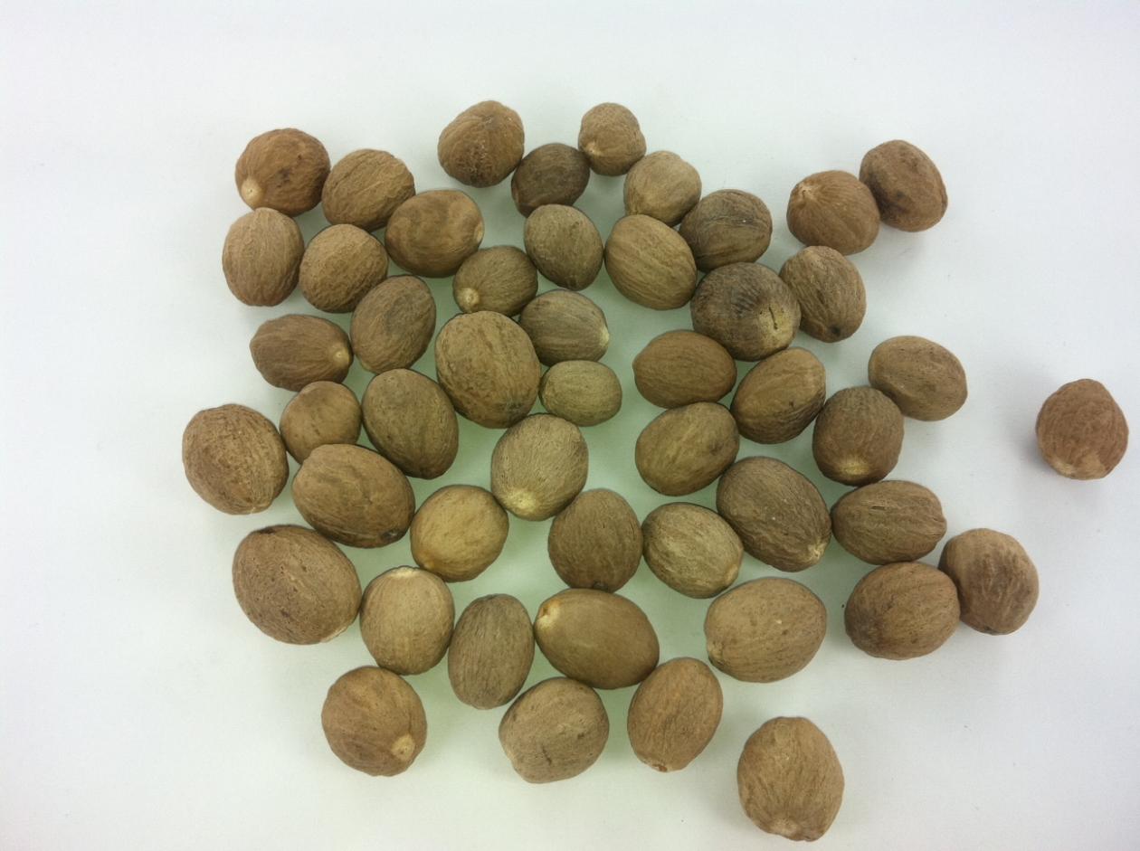 Nutmeg without Shell.jpg