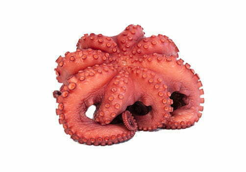 Pulpo-congelado-cocido-formatos-1.jpg
