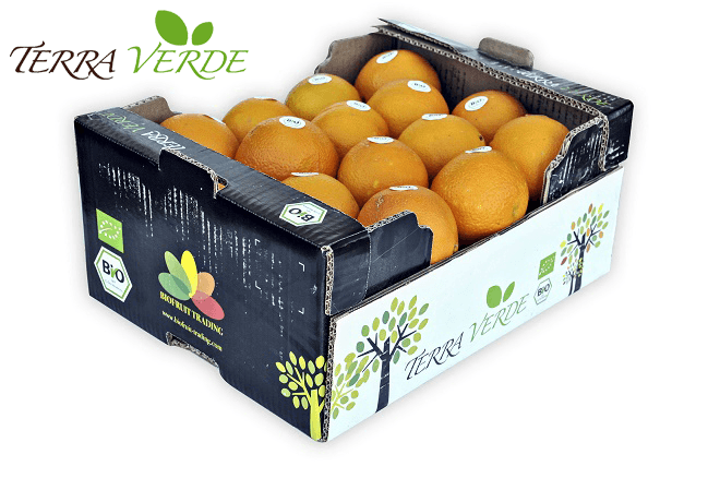 terra-verde-3.png