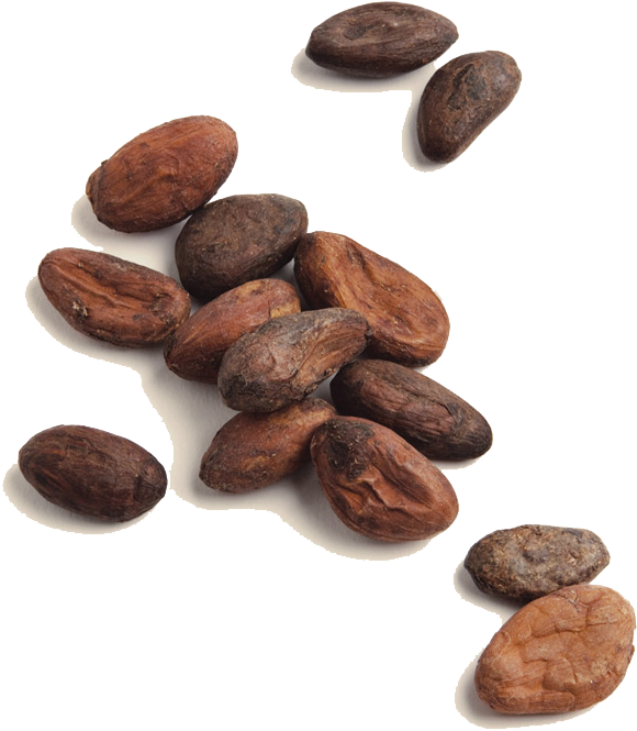 2.png