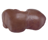 10-BEEF-LIVER-170x140.png