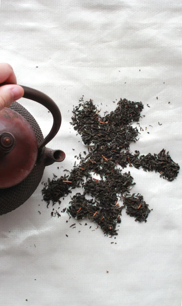 Kocha-teapot-600x1008.webp