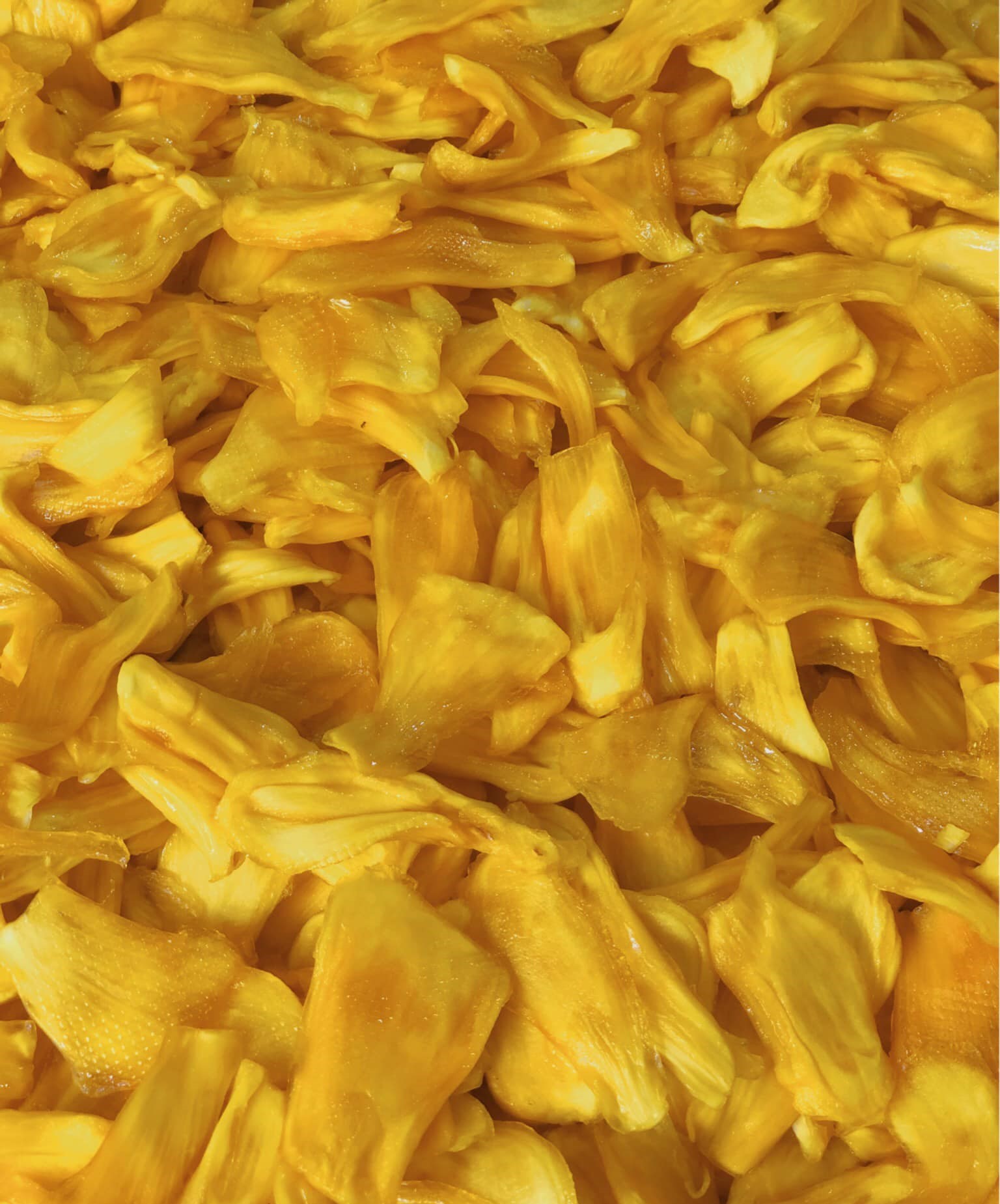 soft jackfruit6.jpg