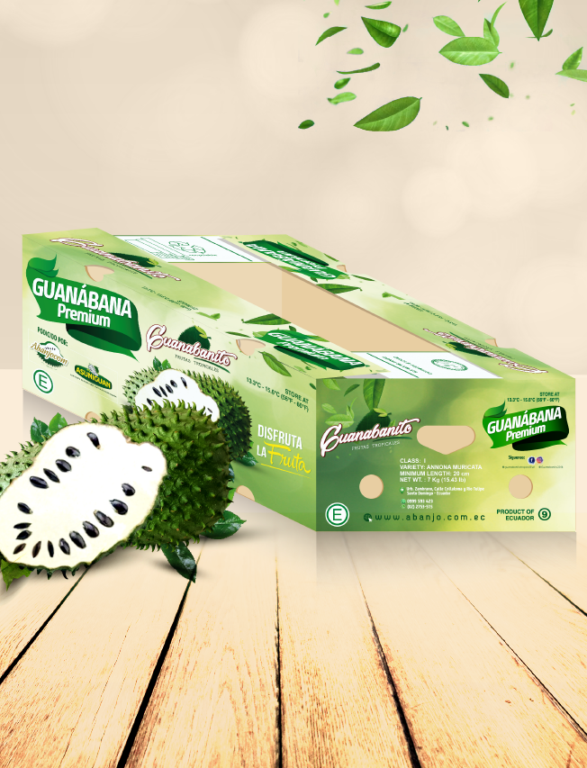 guanabanito-box-fruit-packaging-web.png
