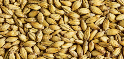 premium_english_caramalt_003-420x200.jpg