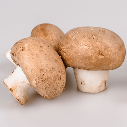 mushroom-brown.jpg