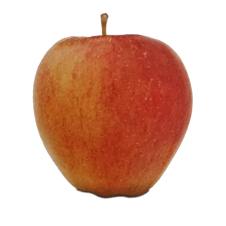 6.png