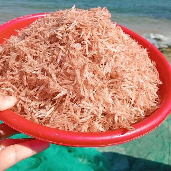 baby shrimp1.jpg