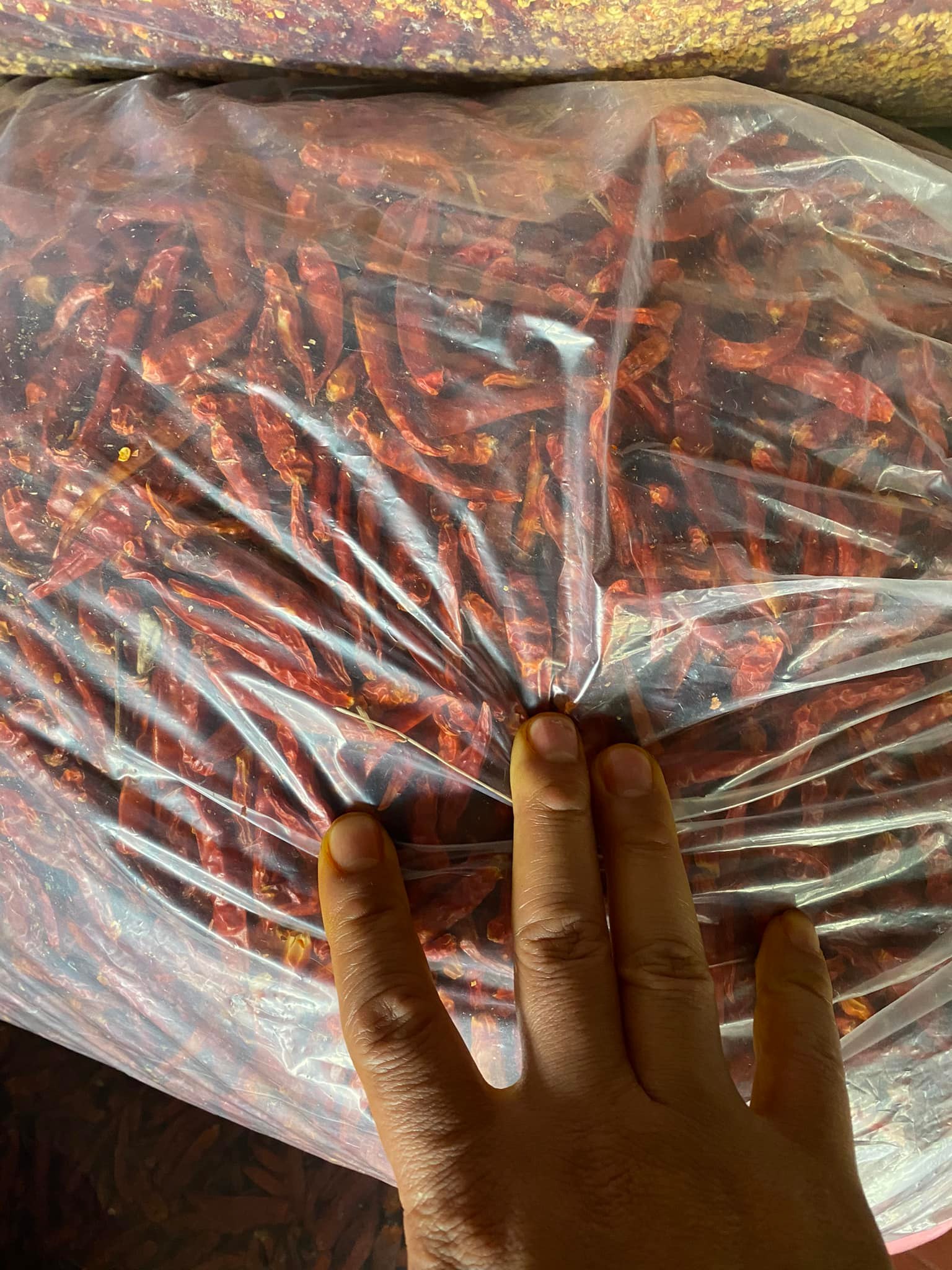 dried chili2.jpg