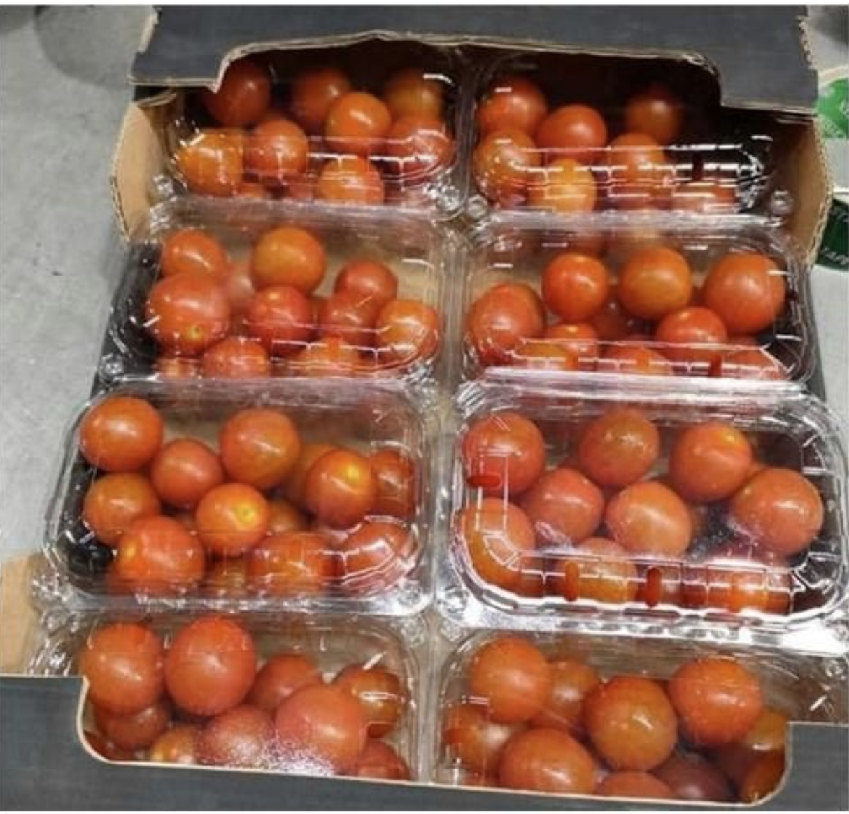 Egyptian Fresh cherry Tomato.png
