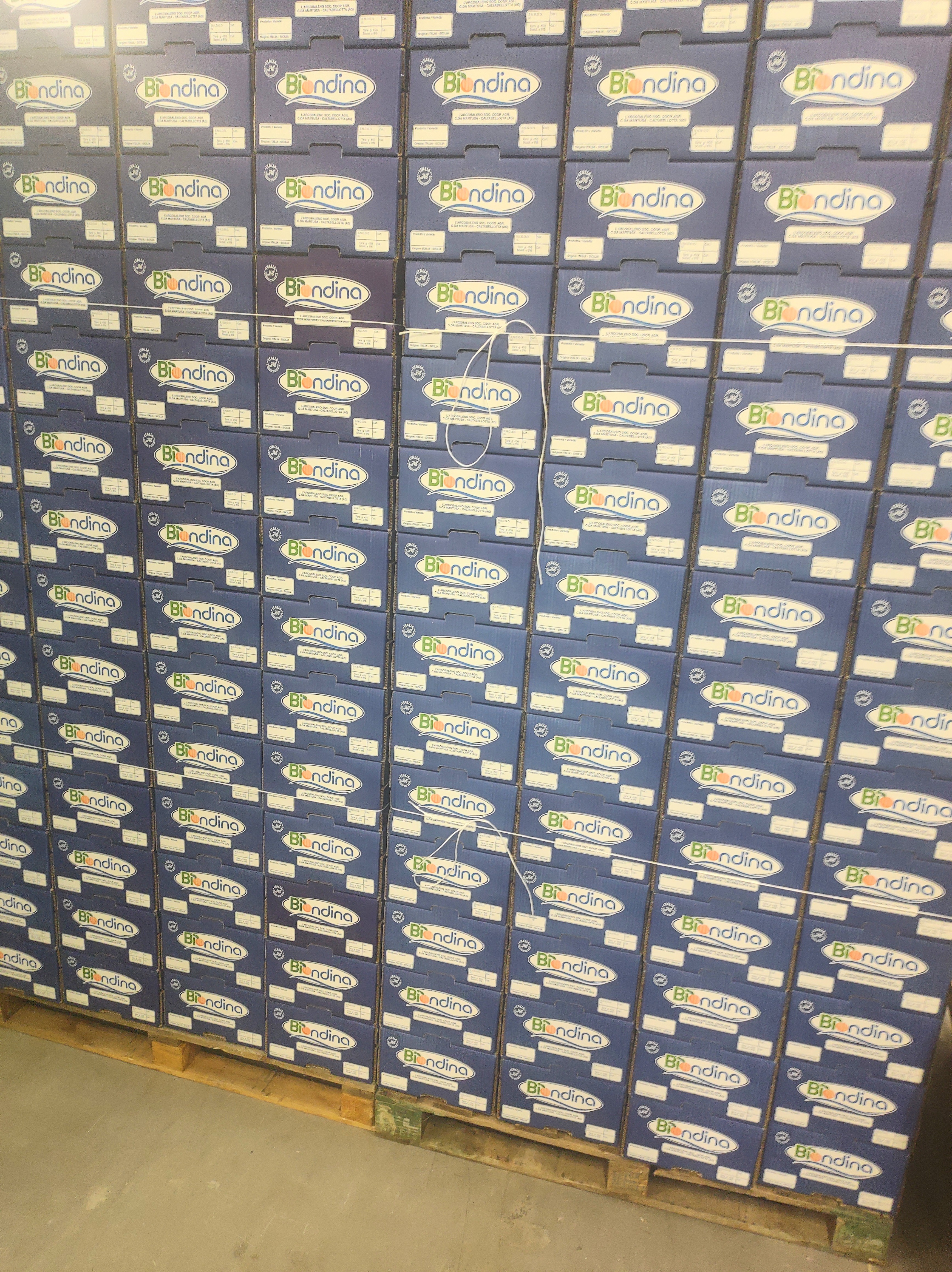 arancebiondina l'arcobalenobio arance di sicilia arance di ribera.jpg