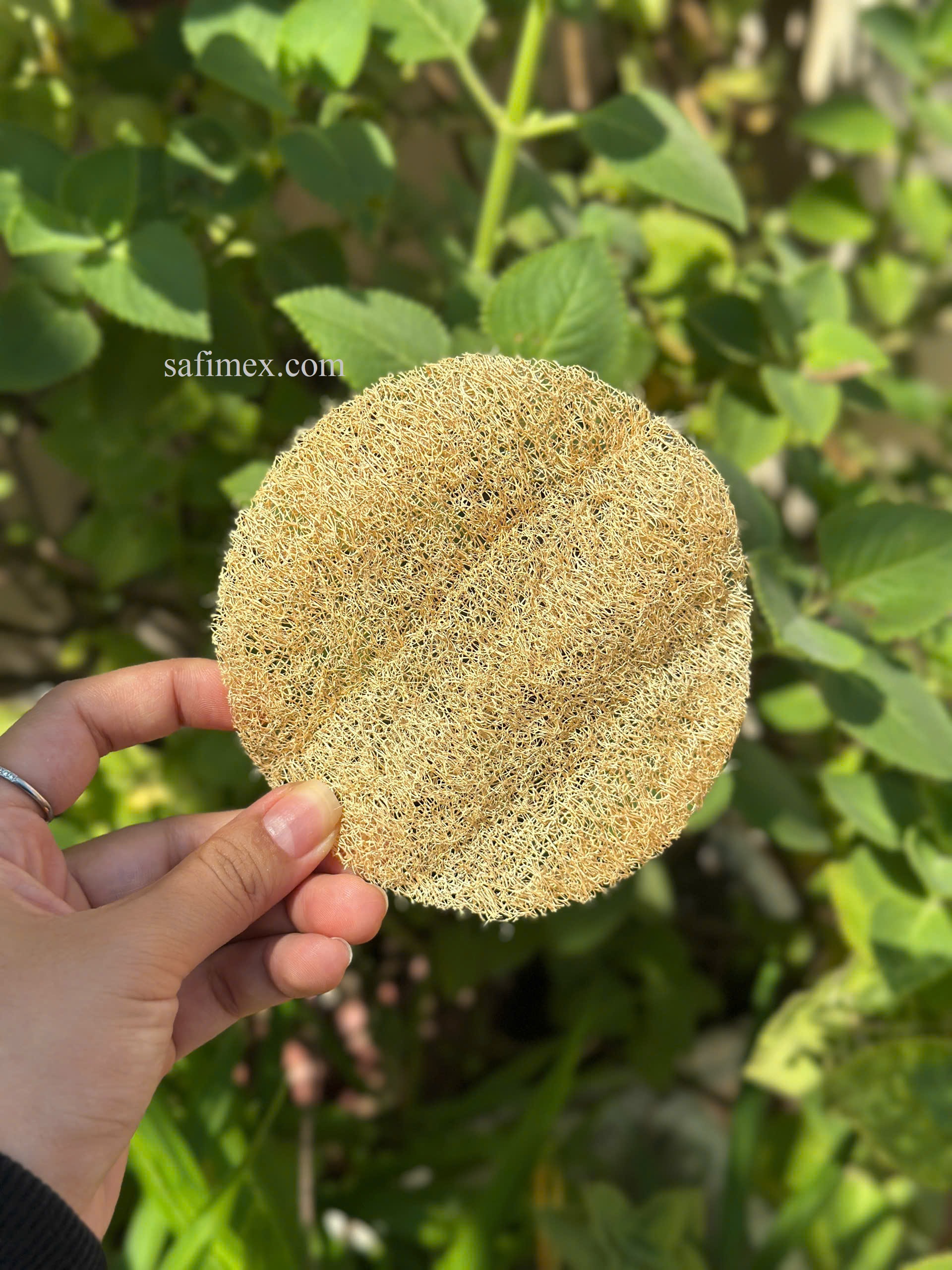 round pads one side6.jpg