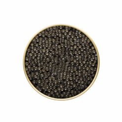 Platinum-single-dark-247x247.jpg