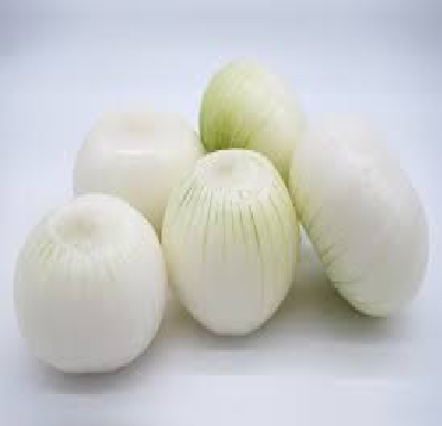 cebula obrana 2.png