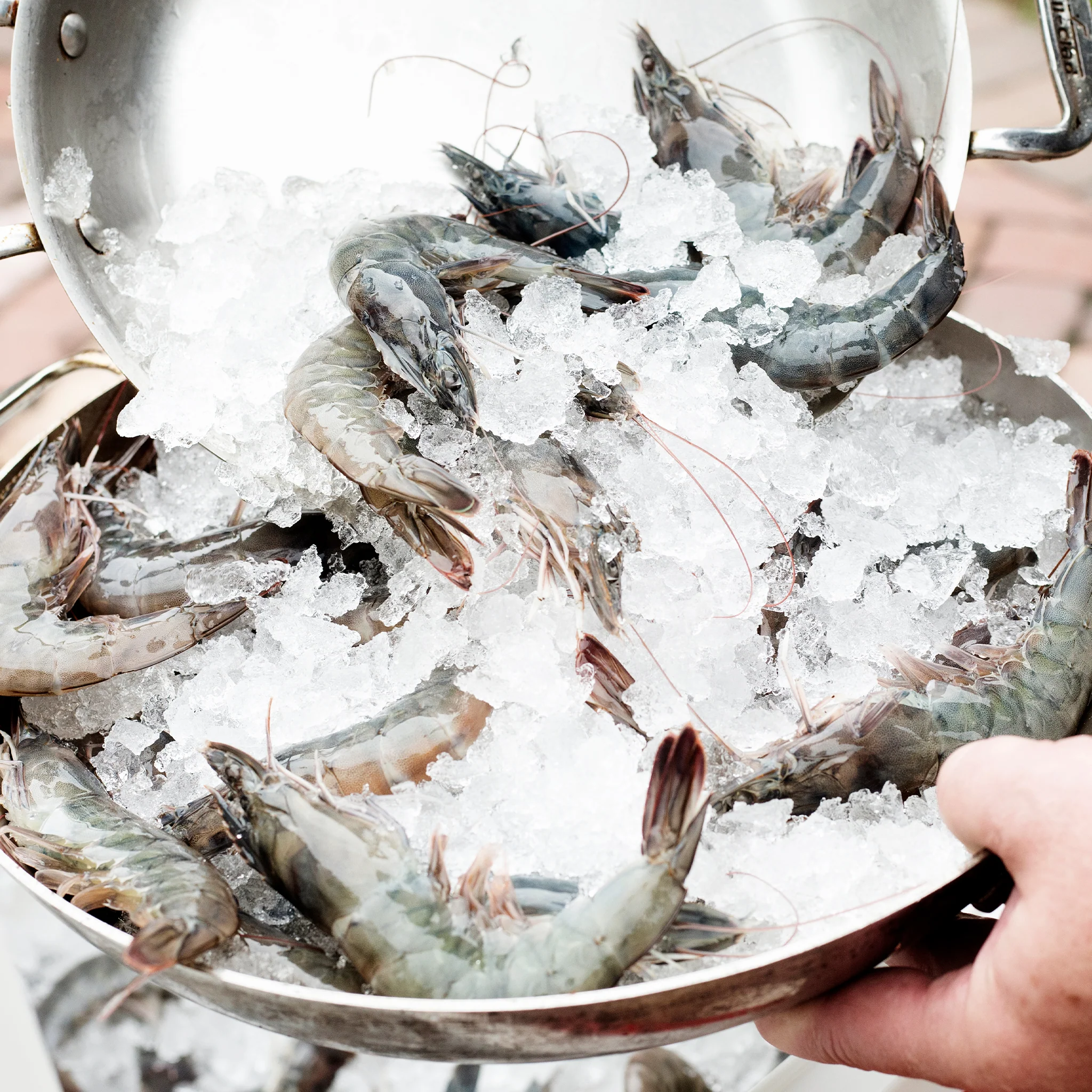 alaskan-king-crab-tru-shrimp-2_2048x.webp