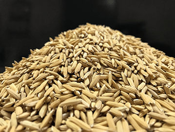 Extra-Long-Grain-Paddy.png