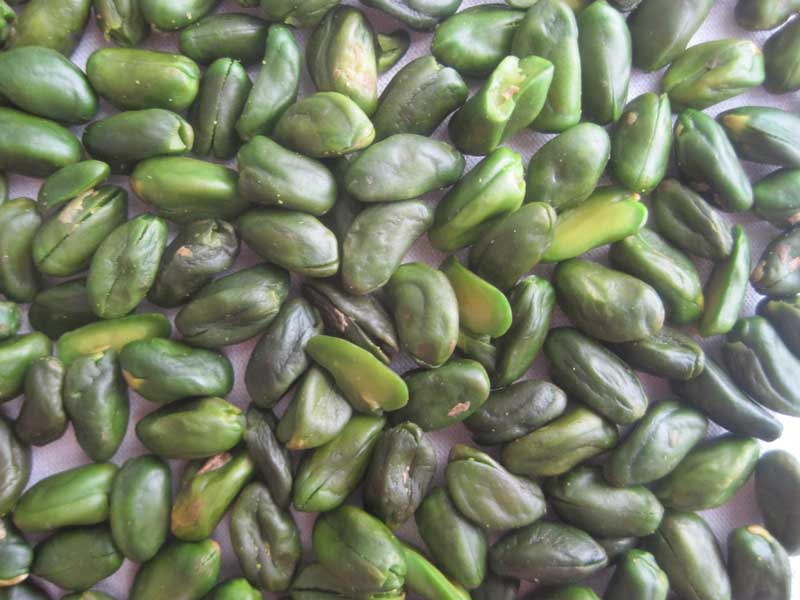 Green kernel AA-1.jpg