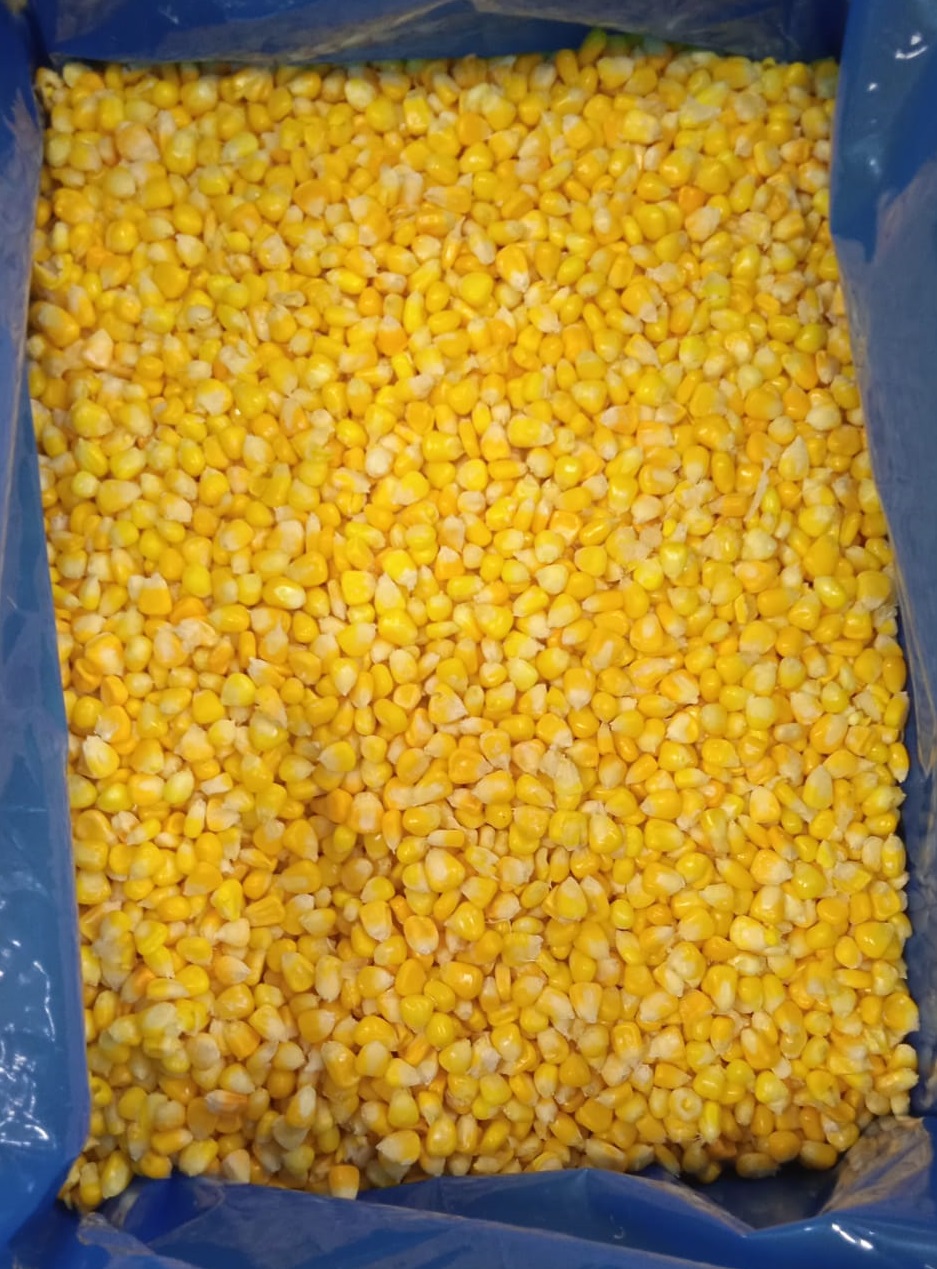 Corn- 2.jpg