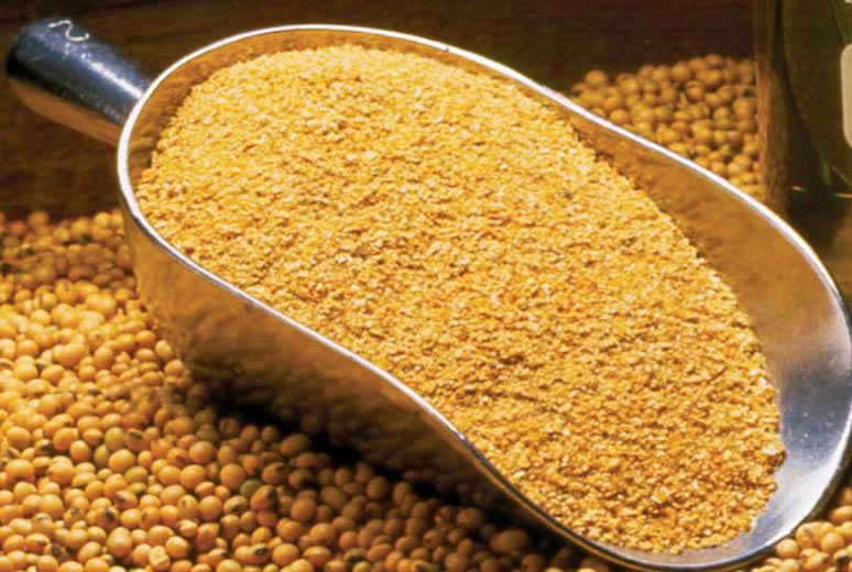 organic-soybean-meal.jpg