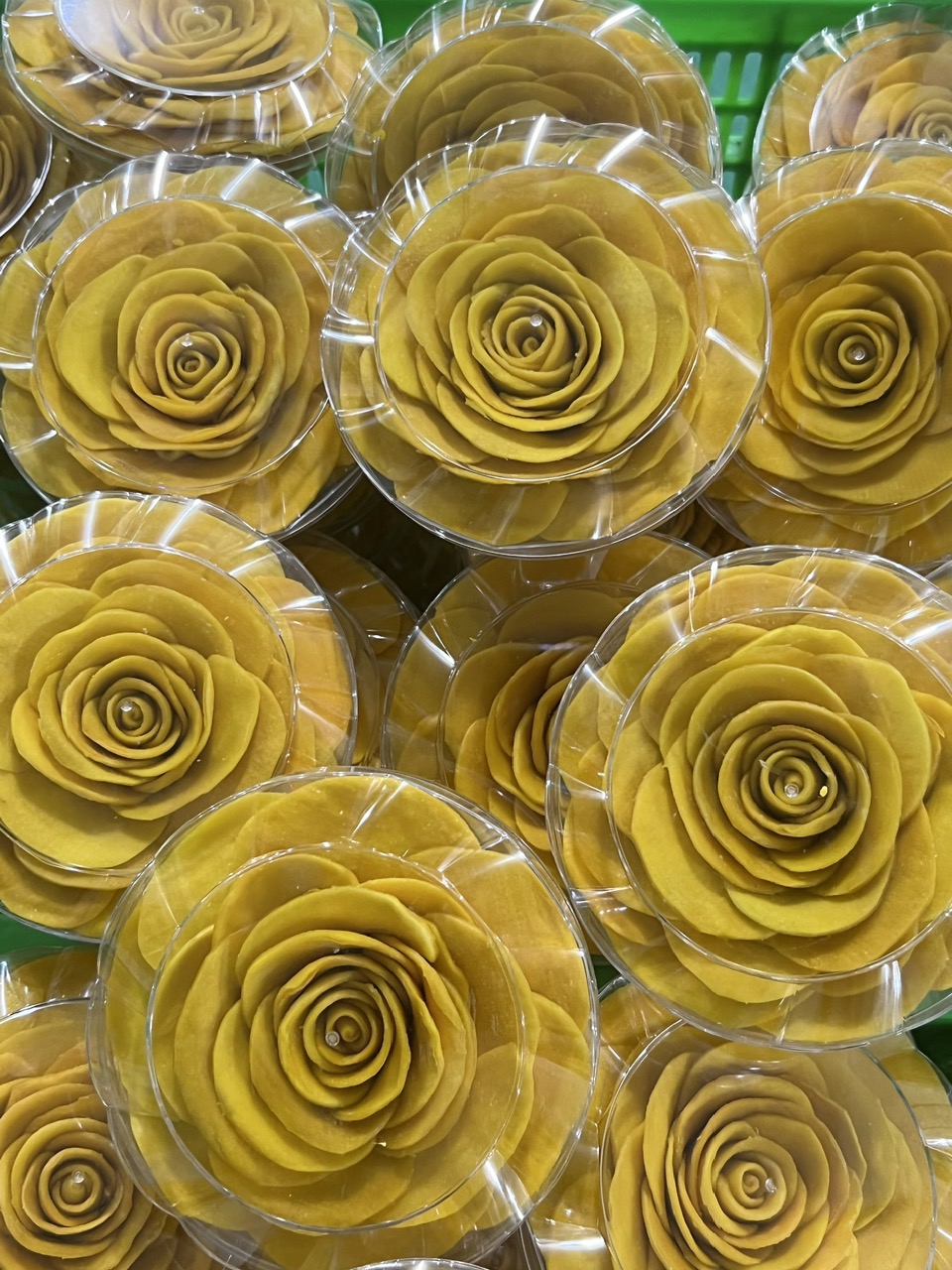 mango flower.jpg