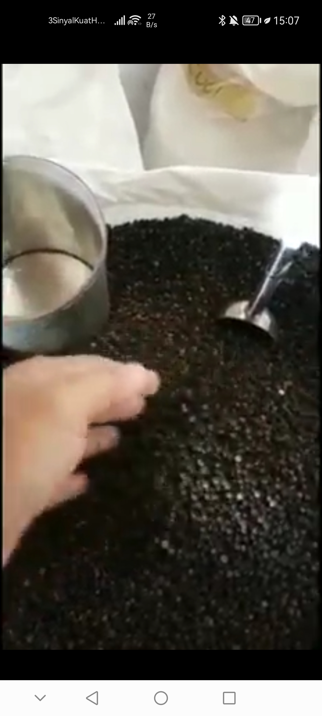 1000022381.jpg