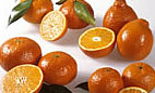 mandalina_minneola.jpg