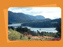 Indochine Estates Coffee - Estate